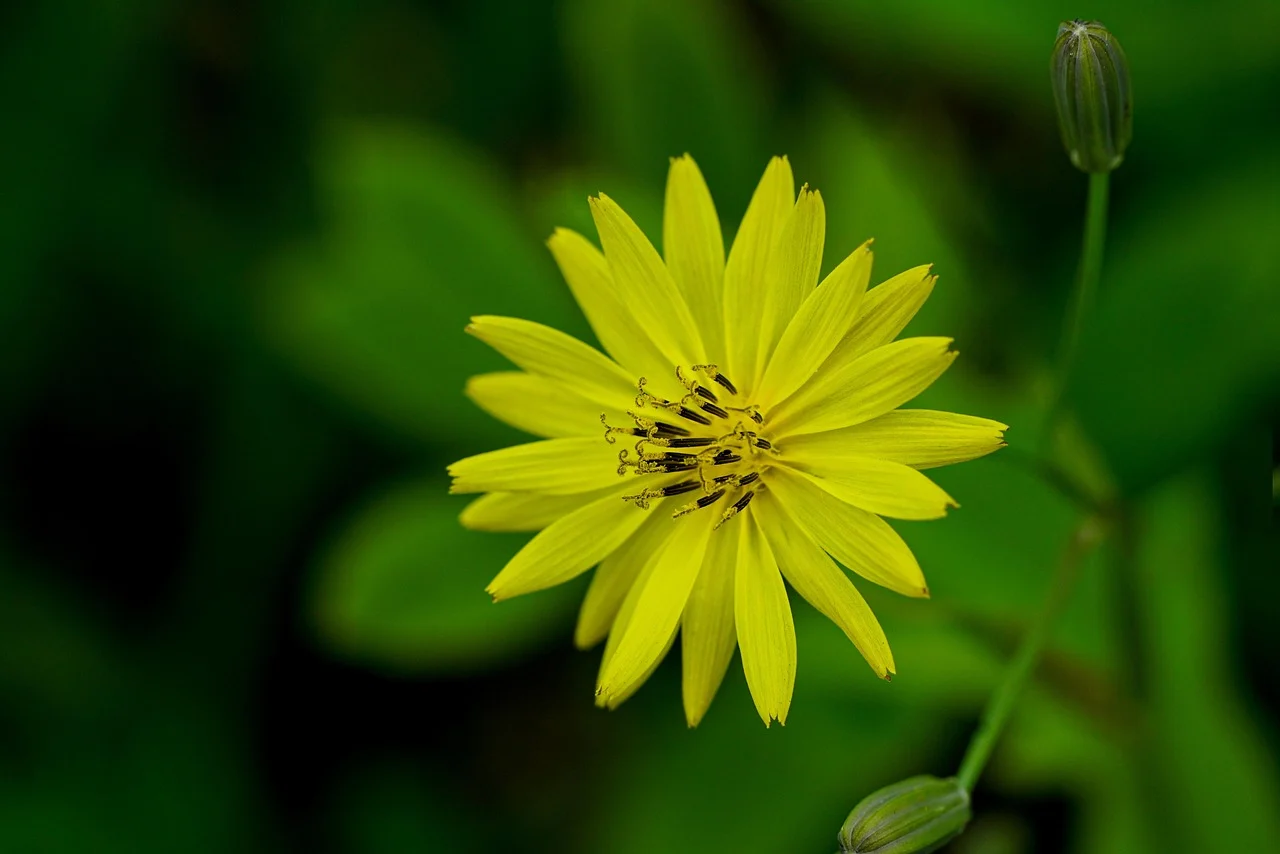 경비지도사 자격증 시험일정 합격률