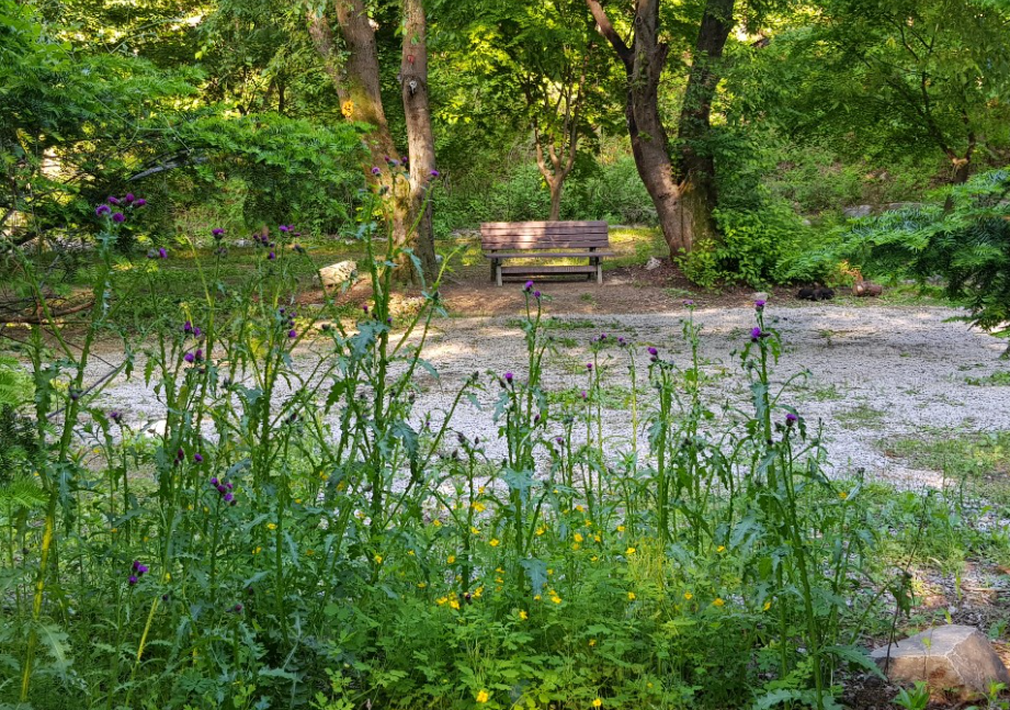 경기-포천-아버지의숲-산정캠프-사진-입니다.