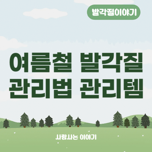 여름철 발각질 관리법과 관리템