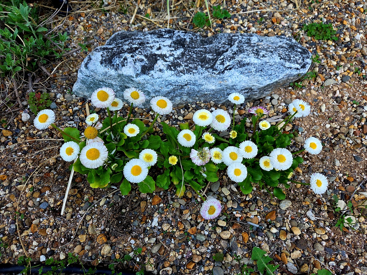 인천 검단 감성 브런치 카페 온안: 모던하고 따스한 분위기 맛집
