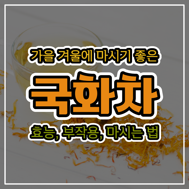 가을 겨울에 마시기 좋은 국화차 - 효능, 부작용, 마시는 법