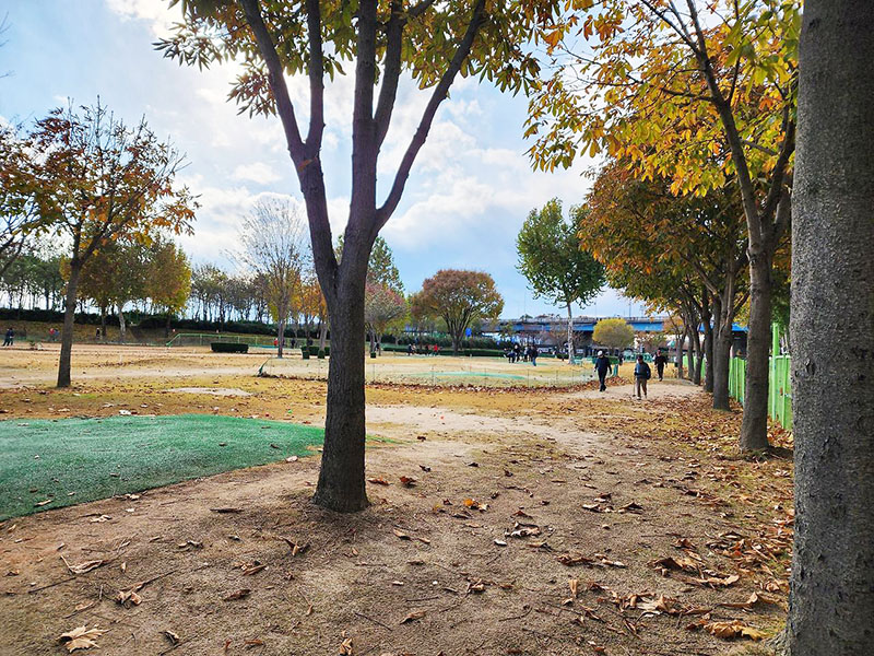 대구 북구 강변파크골프장