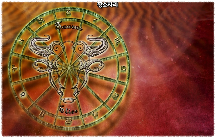 별자리 생일로 알아보는 성격 - 황소자리