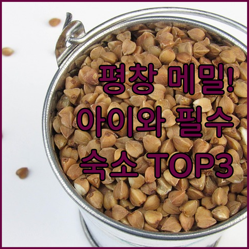 평창 봉평시장 아이와 가볼만한곳 메밀..