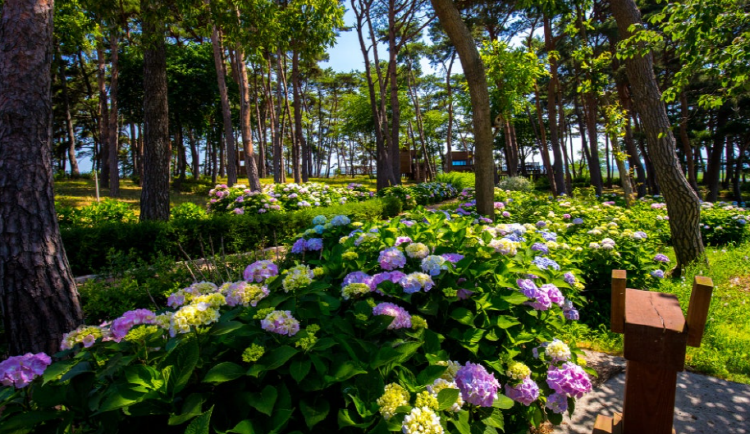 서산 모월힐링숲