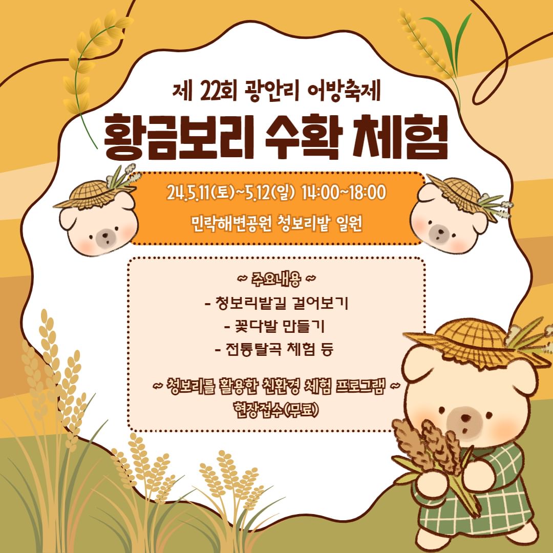  2024 광안리 어방축제 황금보리 수확 체험