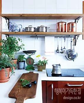 주방 허브 키우기 물주기 수확관리 세척보관 어르신도 간단 실천_2