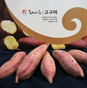 당진해나루황토고구마 홍보판촉행사 축제 장소로 안내_10