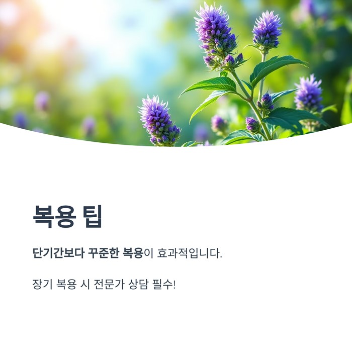 밀크씨슬 효과와 권장량, 복용 시 주의할 점 5가지 요약 이미지