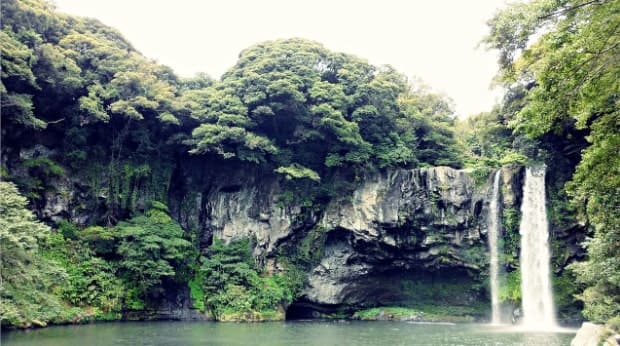 제주도 천지연폭포수가 시원하게 낙수하는 모습