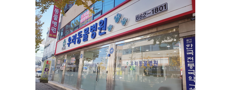 서산시 동물병원