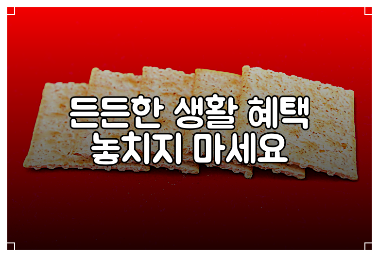 든든한 생활 혜택 놓치지 마세요