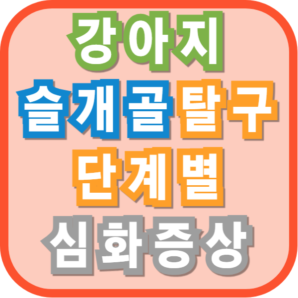 강아지 슬개골 탈구, 단계별 심화 증상과 우리 아이의 고통 신호