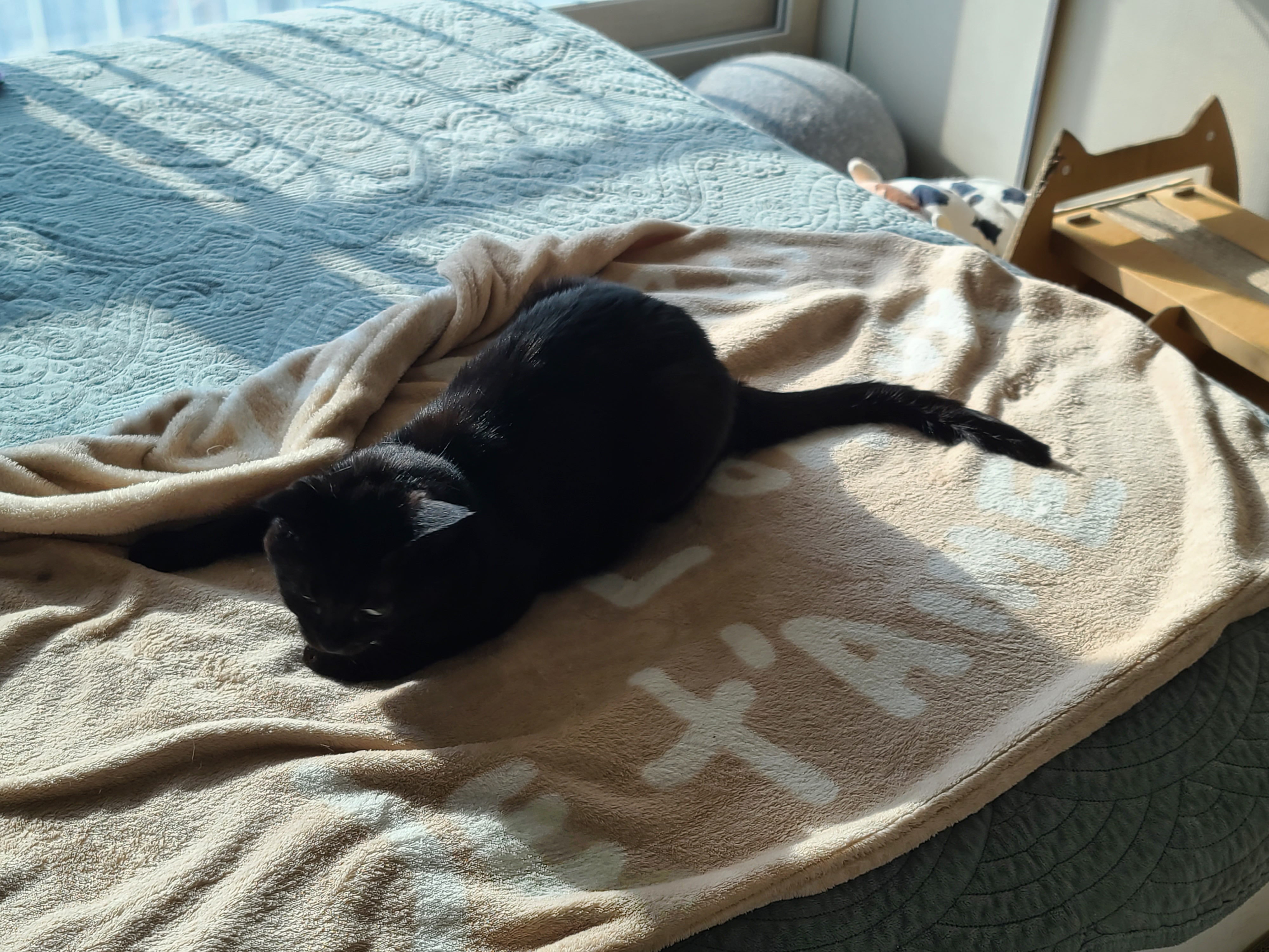 놀라지마세요~ 진짜 투닥거리는 거예요~ㅋㅋ