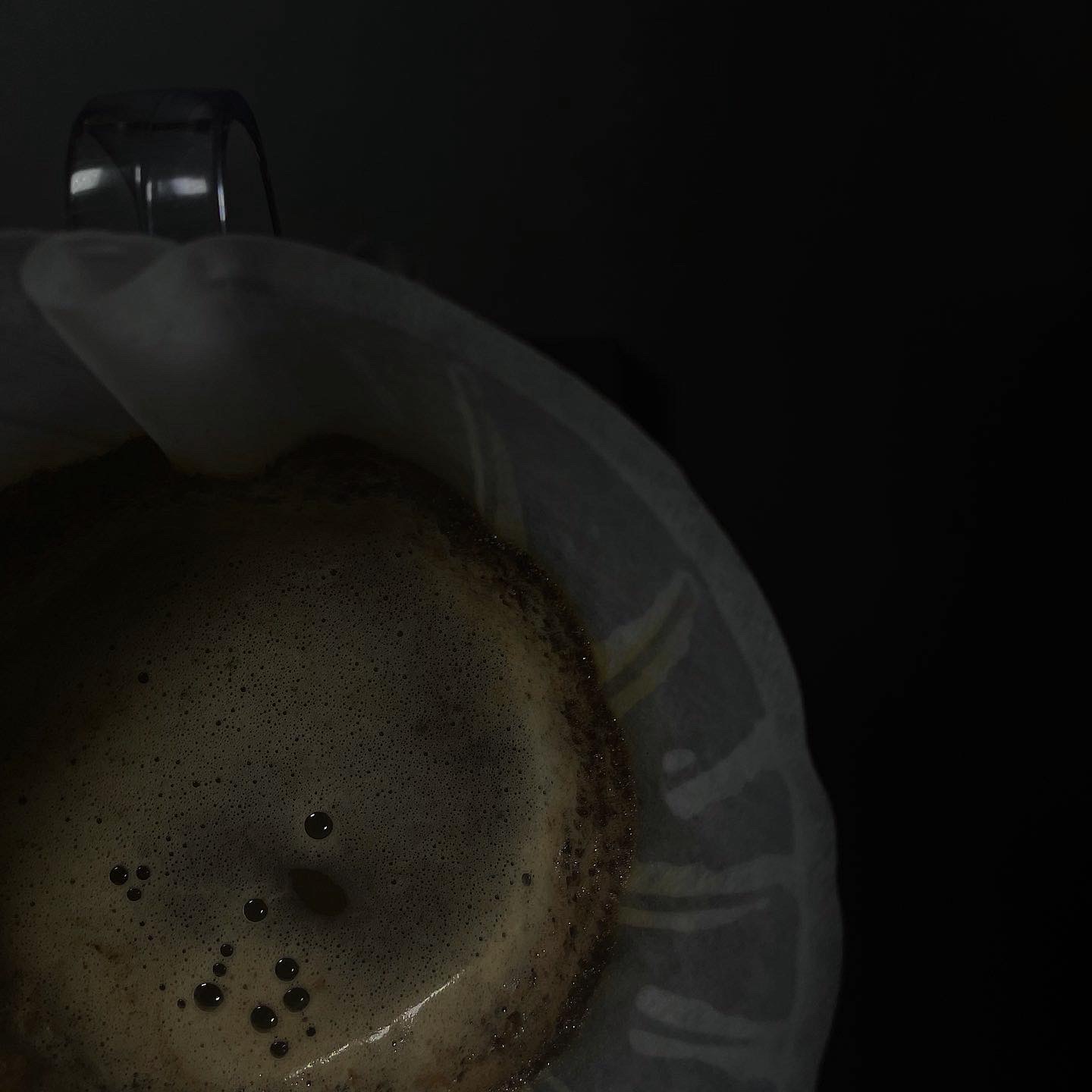 경주 노워즈 원두 프루츠 타이거 밤