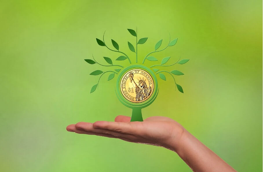 손위에 돈나무가 자라는 모습을 형상화