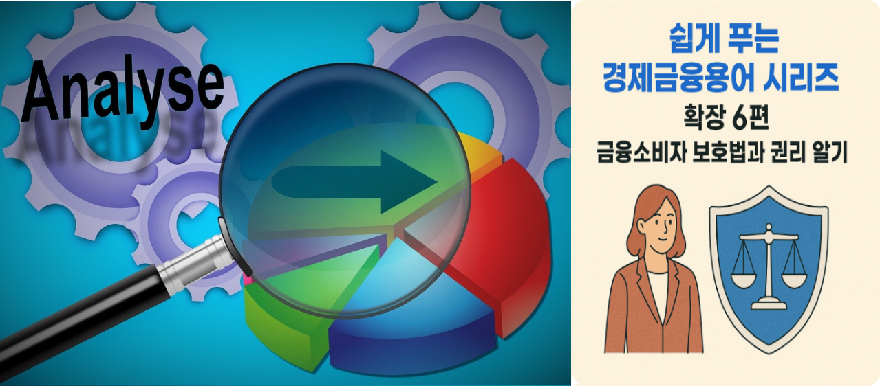금융소비자 보호법과 권리 알기 관련 이미지