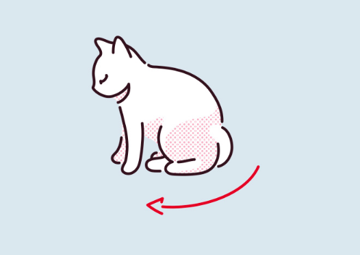 고양이가 꼬리를 뒷다리 사이에 숨기고 있는 일러스트