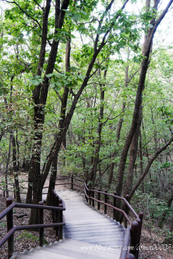 서울 둘레길 코스 정리 완벽가이드