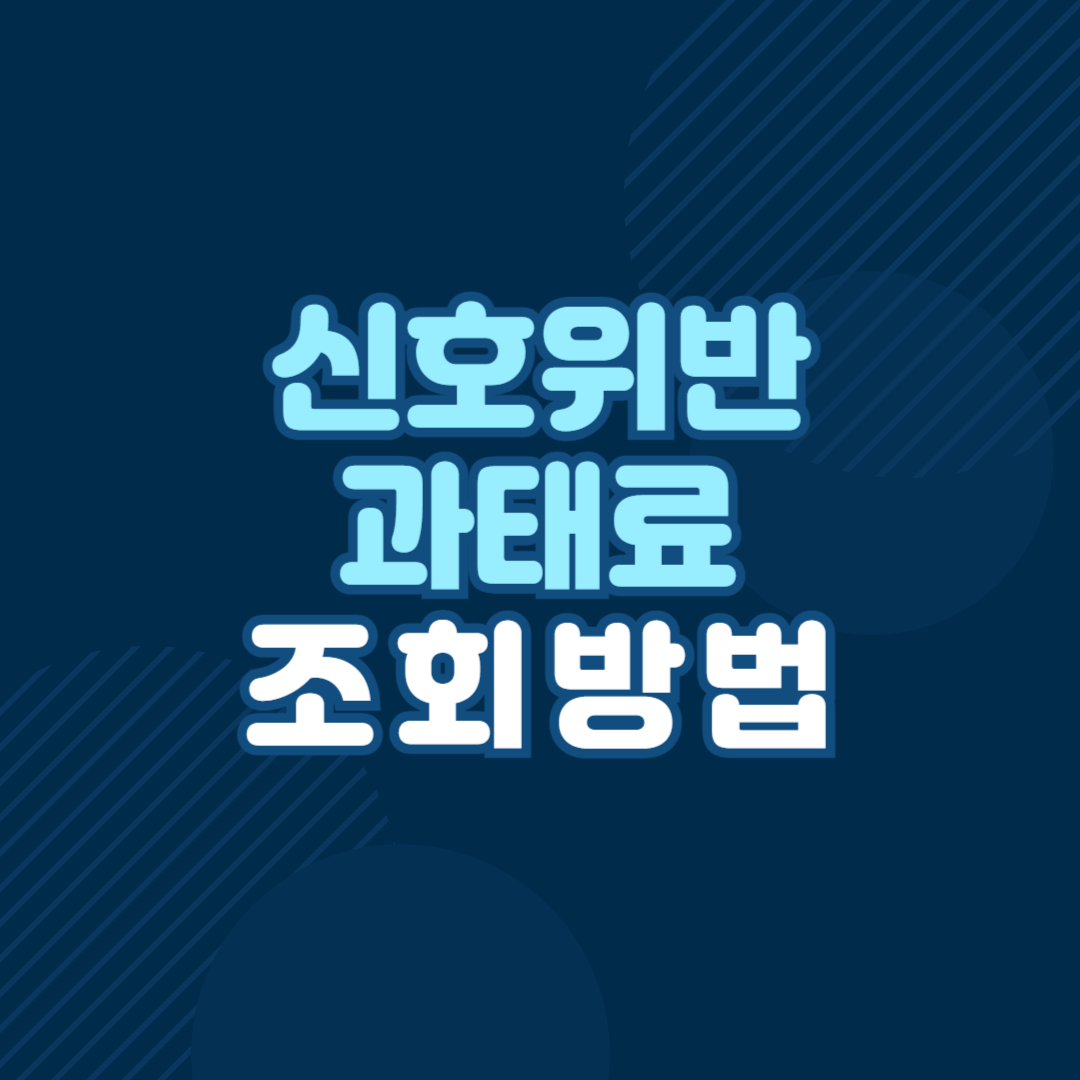 신호위반 과태료 금액