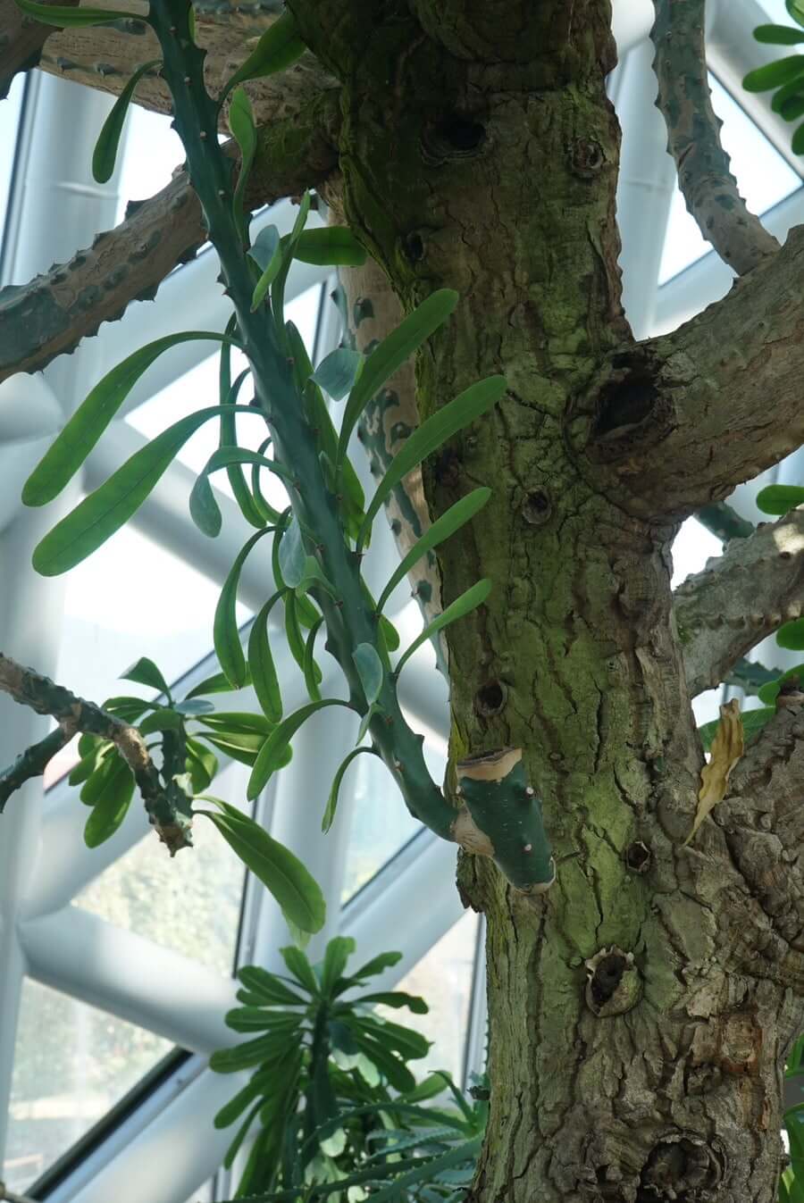 산림산업기사 응시자격