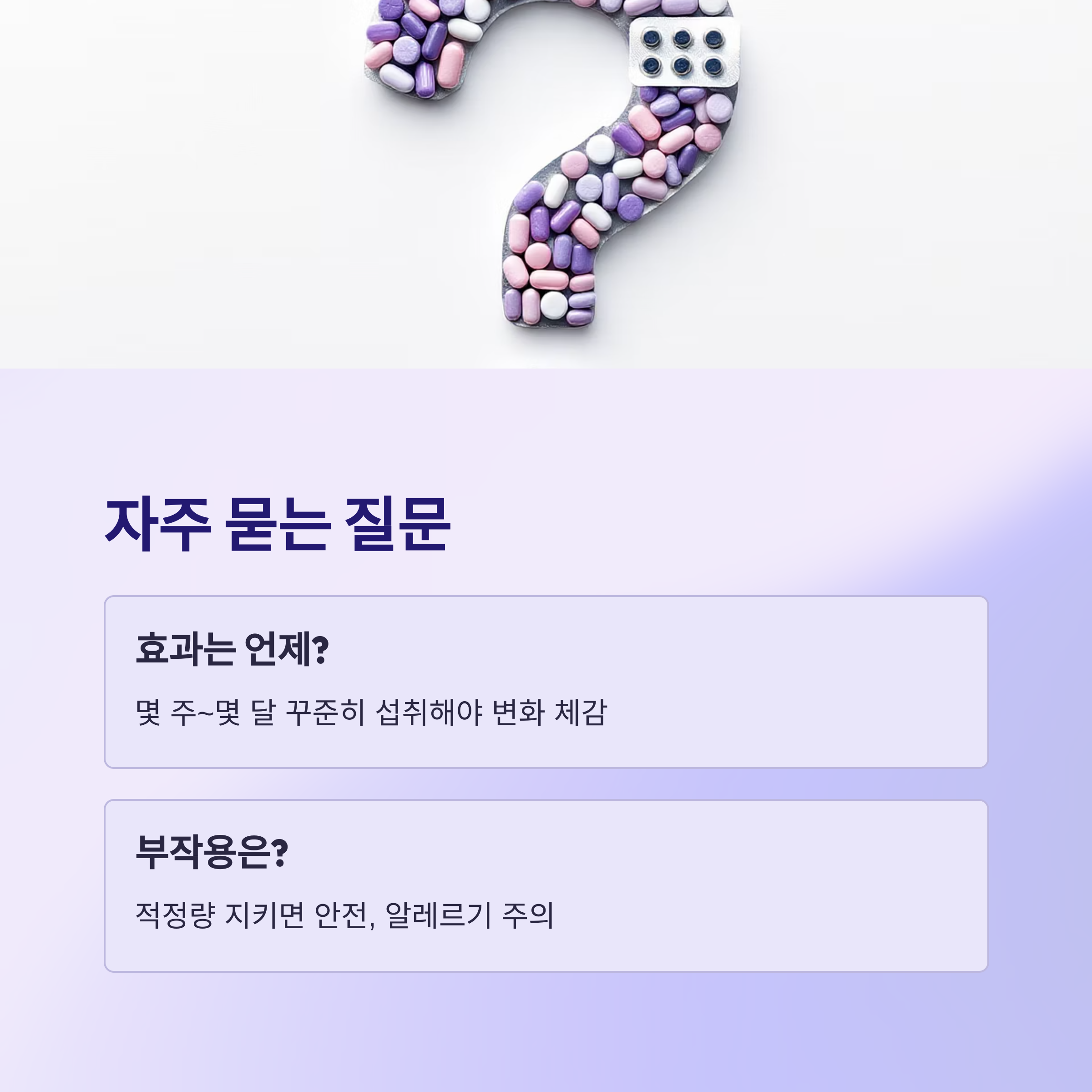 자주 묻는 질문 모음