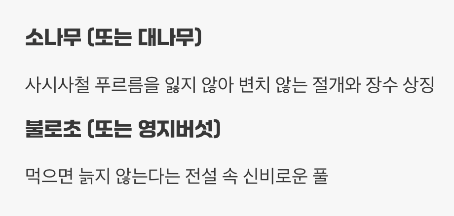 생명을 품은 식물 친구들