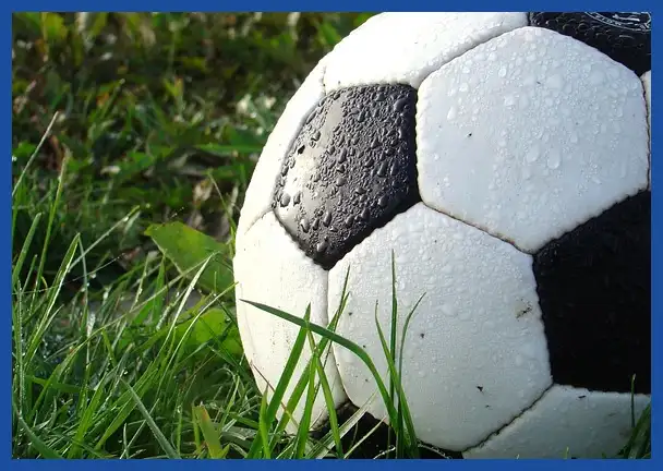 축구 국가대표 감독 연봉 순위: 클린스만&amp;#44; 만치니&amp;#44; 벤투까지 완벽 분석