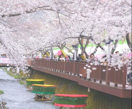 밪꽃