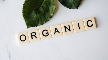 치아씨드 해방: 몸과 마음에 에너지를 공급하세요