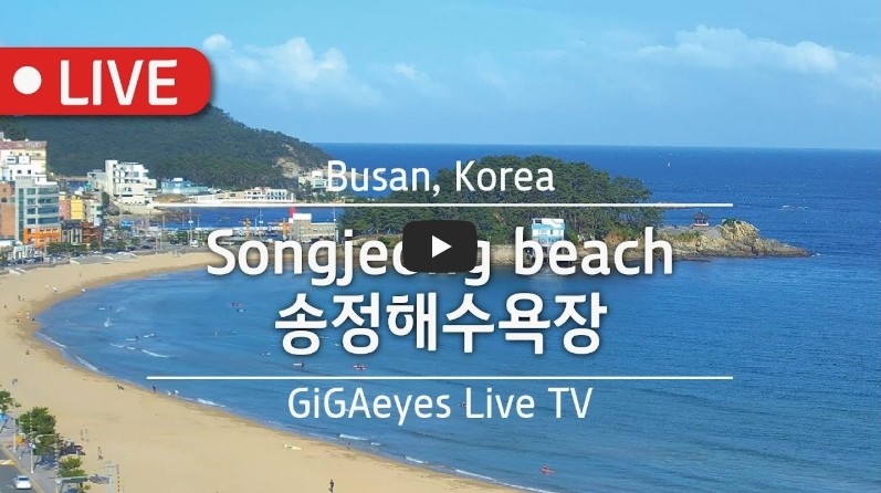 송정해수욕장 실시간 CCTV 보기