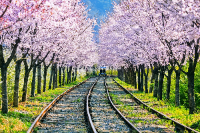 아이와 가평 가볼만한곳 추천 가평레일파크