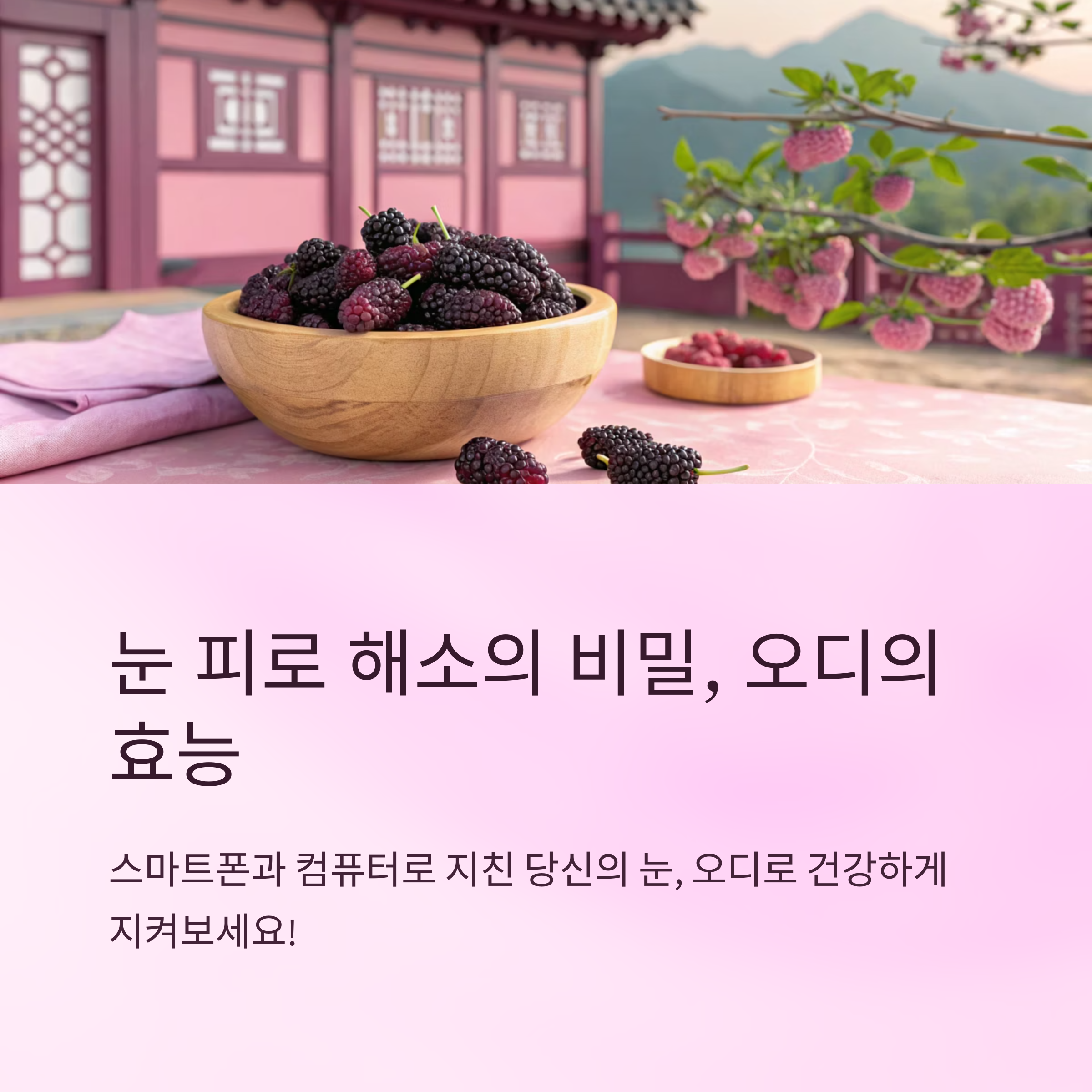 오디의효능 눈 피로 줄이는 방법