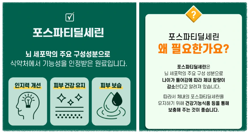 포스파티딜세린이란?