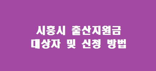 시흥시 출산 지원금