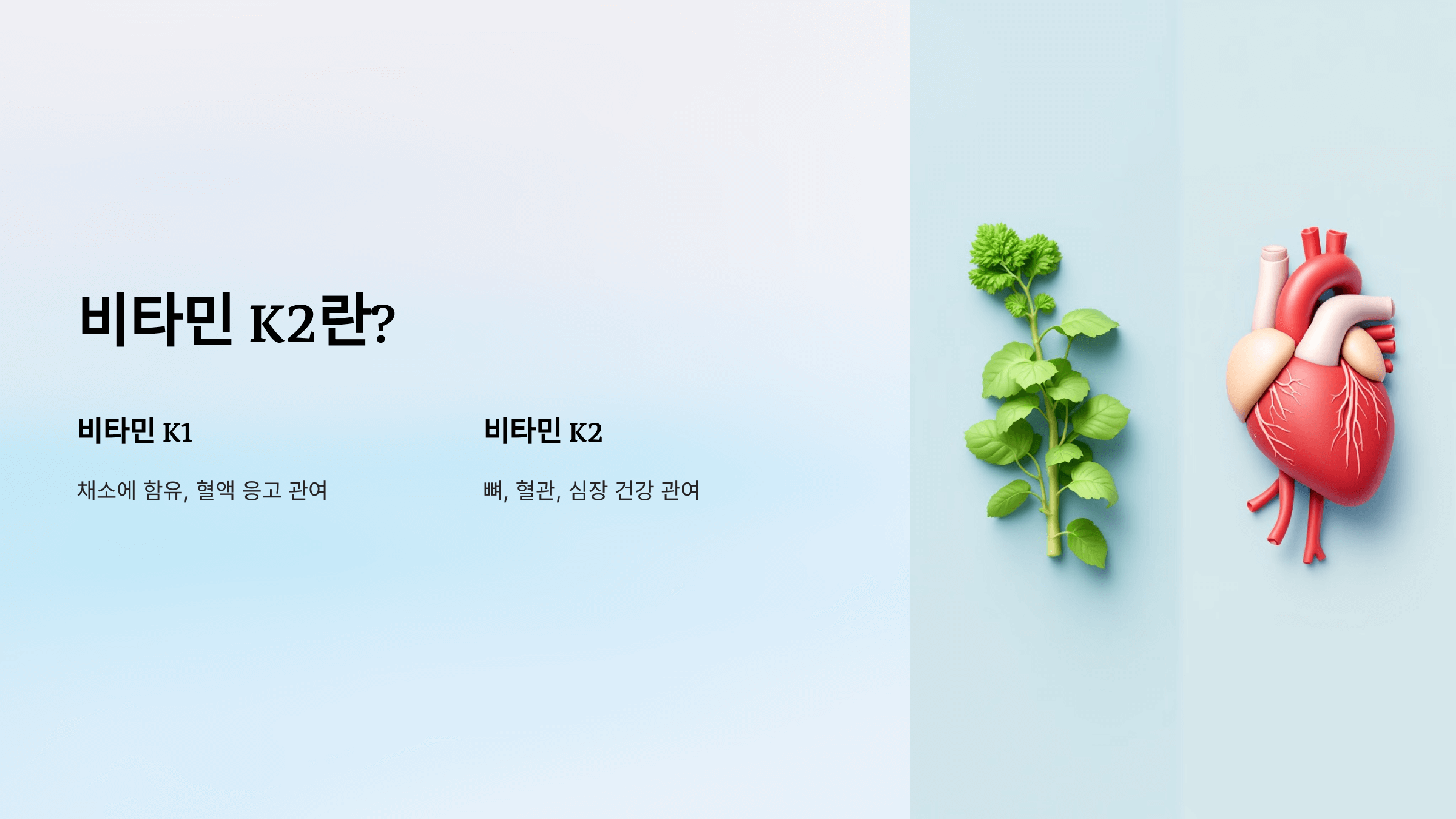 비타민k2와 관련된 사진입니다.