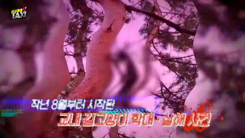그알 그것이알고싶다 포항 고양이 연쇄 살해 사건 캣맘 불법 먹이 투기 행위 반대 캣 프레데터 강력 살인 범죄 징조 사례 1318회
