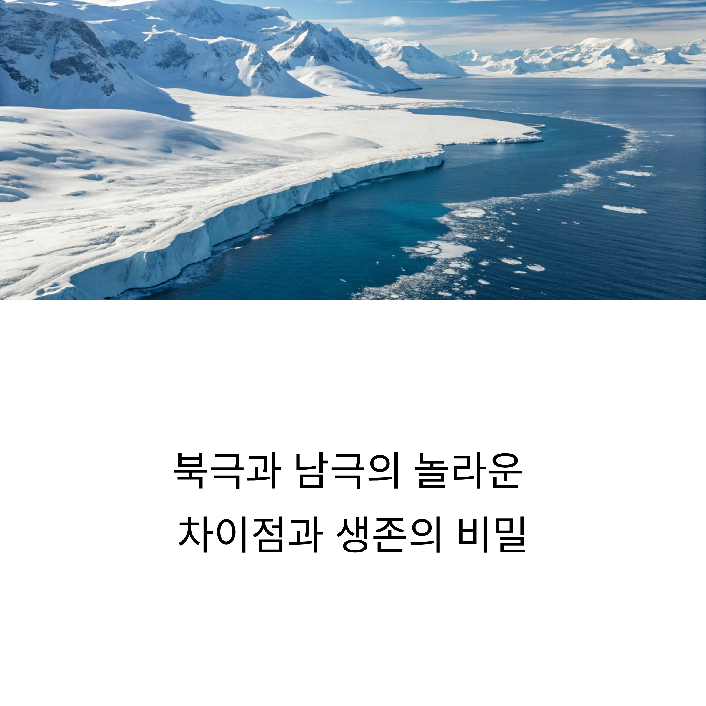 북극과 남극의 놀라운 차이점과 생존의 비밀