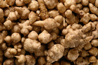 당뇨, 돼지감자, 이눌린, 혈당조절, 당뇨극복