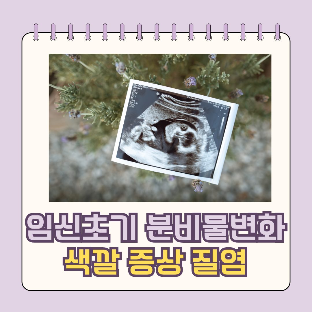 임신초기 분비물변화 색깔 증상 질염예방