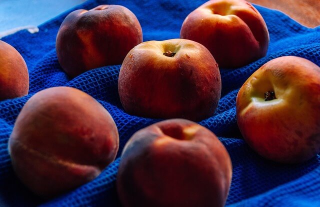 복숭아 보관방법