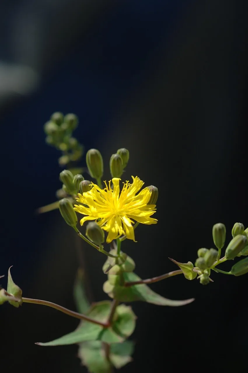 재개발 호재 녹번2-3구역 매물