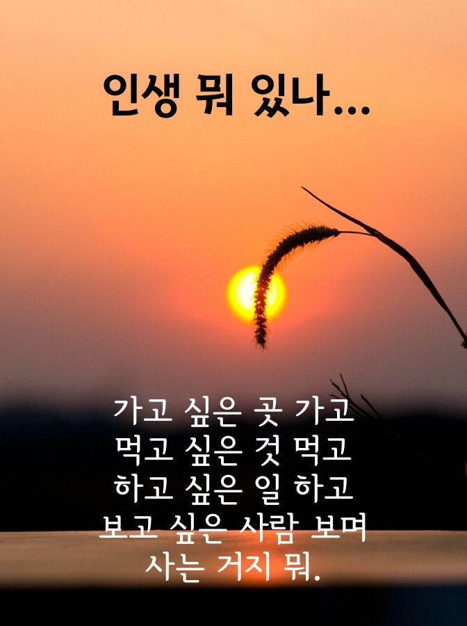블로그에 자주 쓰이는 짤18