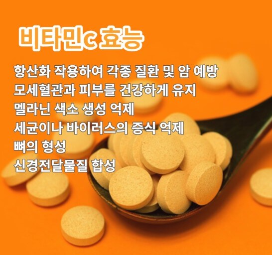 비타민C 효능
