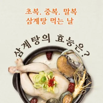 2025년 초복 중복 말복 날짜별 건강 관리법 및 보양식 정리_23