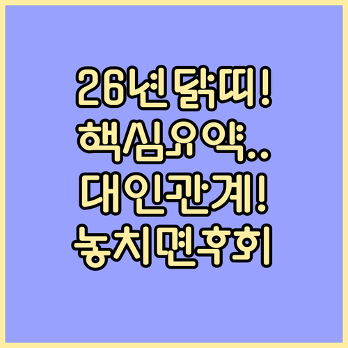 2026년 1981년생 닭띠 운세 핵..