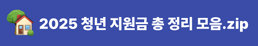 청년지원금