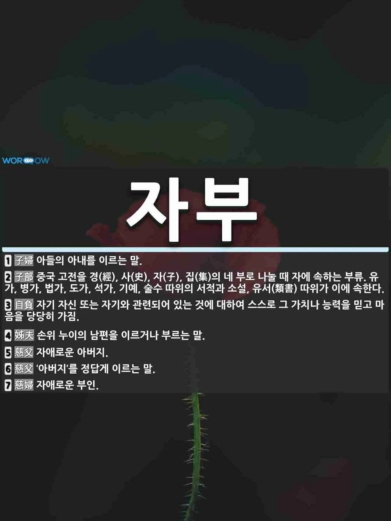자부 뜻 며느리 호칭 자부상 손부 사위 상주 관계 정리집_4