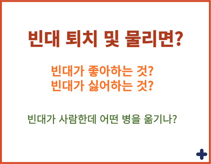빈대 퇴치 및 물리면? 특별히 빈대들이 좋아하는 공간이 있어요~~ 빈대가 좋아하는 것과 싫어하는 것을 미리 알아서 빈대 퇴치에 집중하자고요! 또한 빈대는 사람한테 어떤 병을 옮길까요? 당황하지말고 천천히 확인해보세요!
