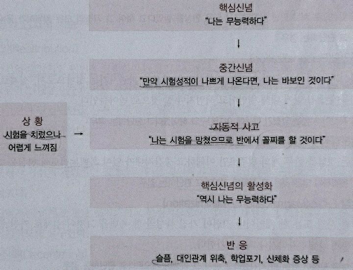 인지 과정